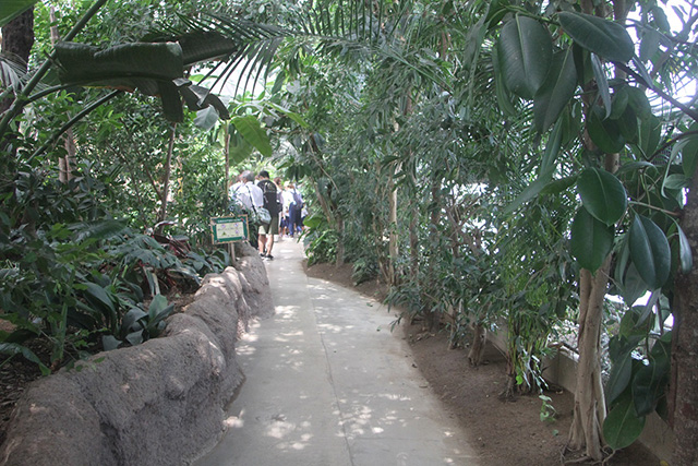 熱帯の森/神戸どうぶつ王国(兵庫県/神戸市)