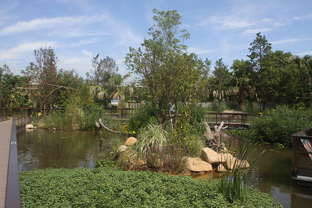 オッターサンクチュアリ ~コツメカワウソ生態園~/神戸どうぶつ王国(兵庫県/神戸市)