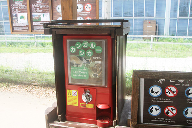 エサやり体験のガチャガチャ/神戸どうぶつ王国(兵庫県/神戸市)