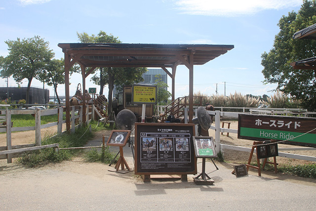 ホース&ラクダライド/神戸どうぶつ王国(兵庫県/神戸市)