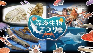 深海生物を五感で体感！横浜・八景島シーパラダイスで「深海生物まつり」開催中