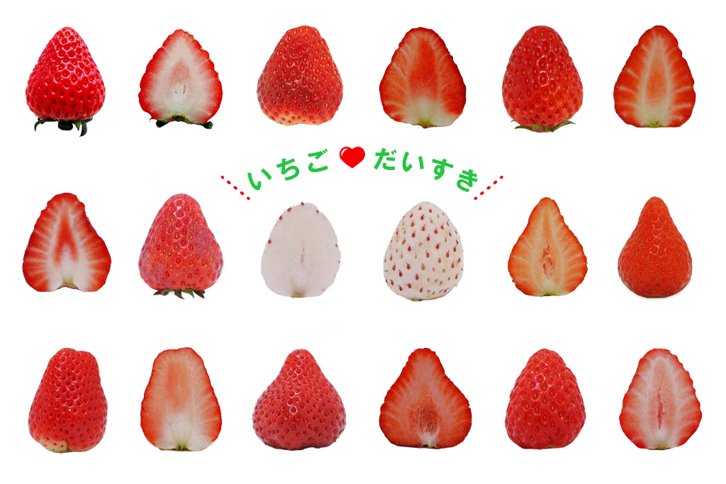 【2025年いちご狩り】いちごの人気品種は？甘い・高級・断面がハートなどの特徴　おいしい食べ方、栄養も！