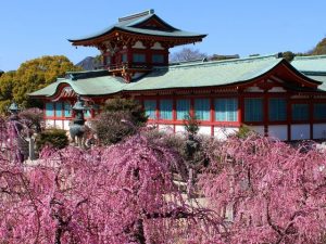 中国の梅の名所・梅林・梅園(2025)開花時期や梅まつりもチェック