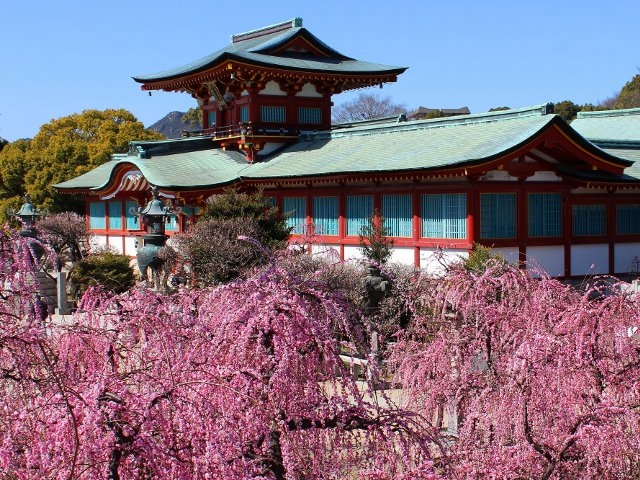 防府天満宮（山口県／防府市）
