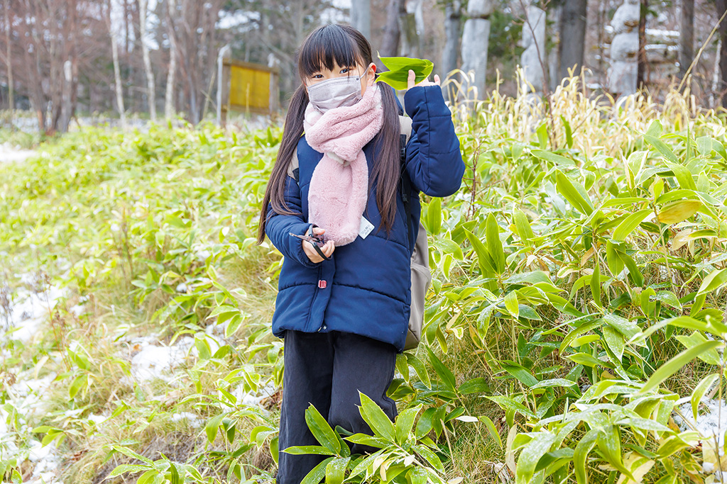 アイヌの伝統料理体験ツアー
