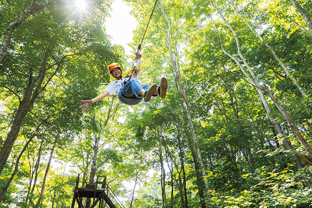 ジップラインアドベンチャー/スプリングバレー仙台泉空の冒険王国(宮城県/仙台市)