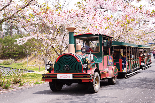 チューチュートレイン/チャチャワールドいしこし(宮城県/登米市)