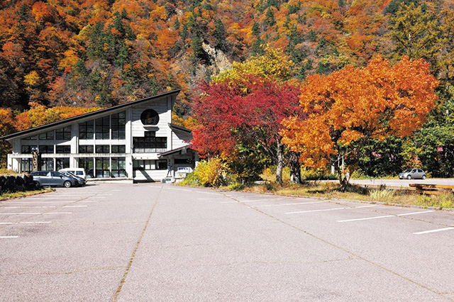 森の温泉館 アルザ尾瀬の郷(福島県/檜枝岐村)