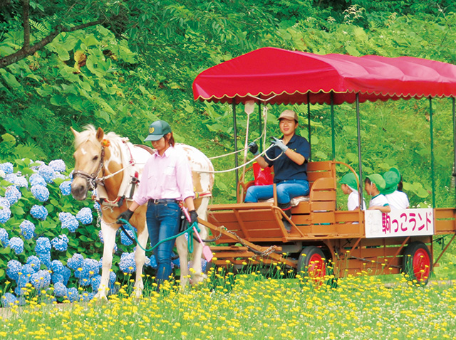 馬そり/十和田市馬事公苑駒っこランド(青森県/十和田市)