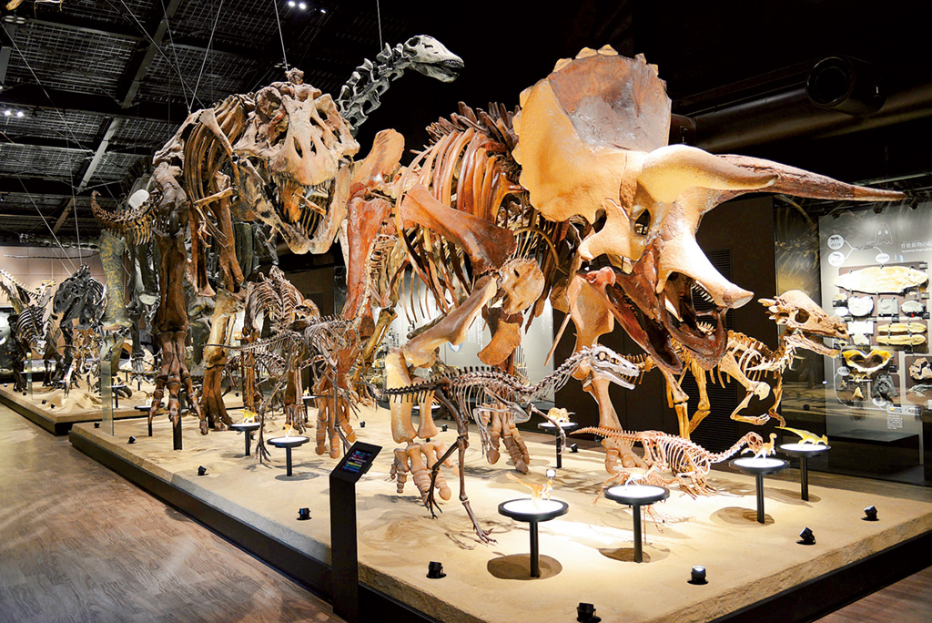 御船町恐竜博物館