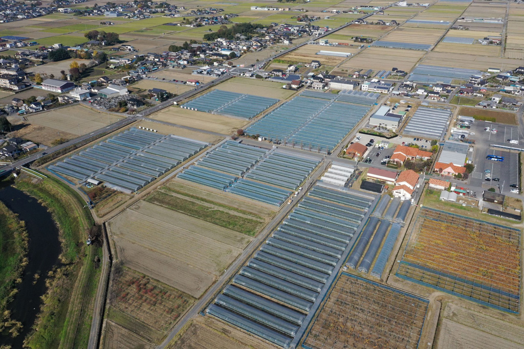 いちごの里(栃木県/小山市)全景