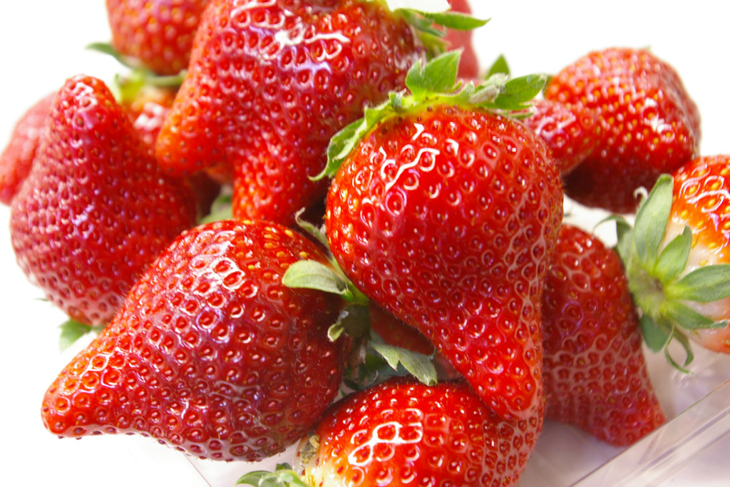 生育状況により最大5品種の食べ比べができるいちご狩りデラックス/いちごの里(栃木県/小山市)