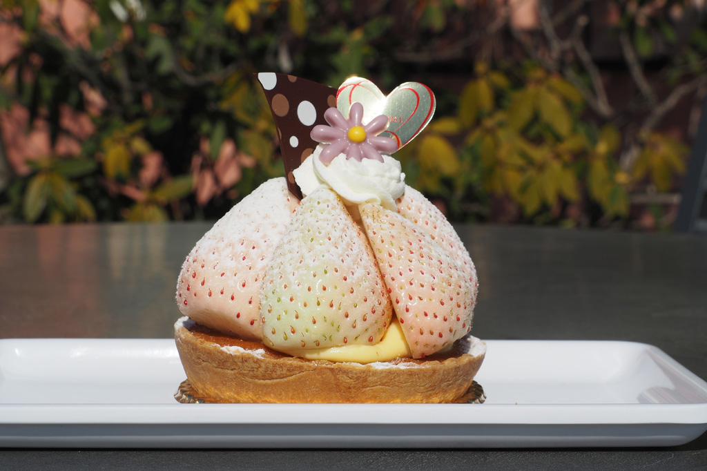 ミルキーベリータルト/いちごの里(栃木県/小山市)