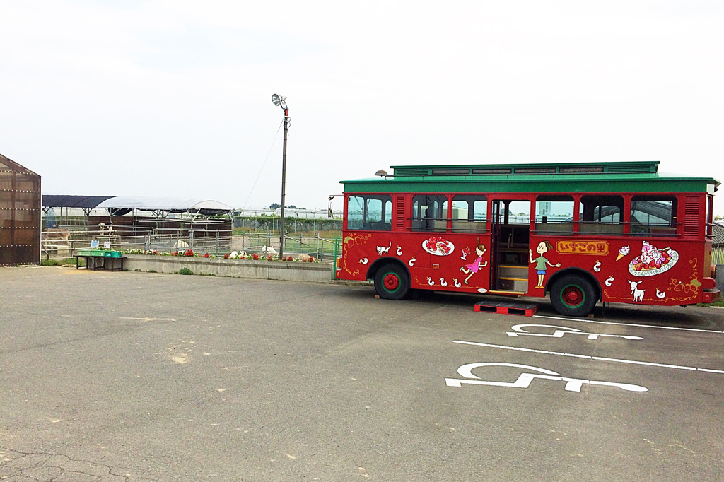 レトロバスなども子どもに人気/いちごの里(栃木県/小山市)