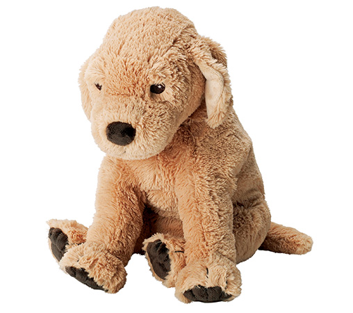 ゴールデンレトリバー/IKEA仙台(宮城県/仙台市)