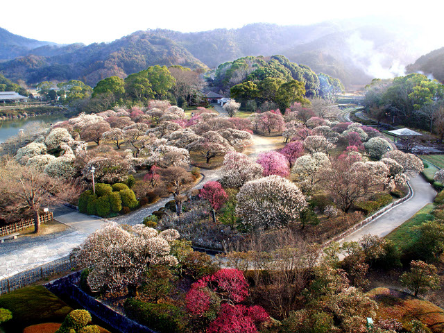 南楽園（愛媛県／宇和島市）