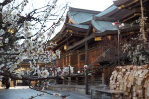 湯島天満宮（湯島天神）で学業成就！お守り・アクセス・梅まつり（2・3月）も紹介