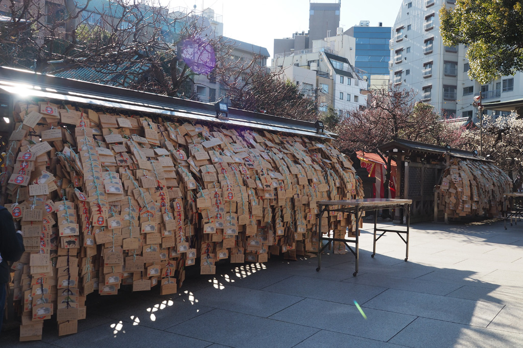 合格祈願の絵馬(1000円)が何重にも/湯島天満宮(東京都/文京区)