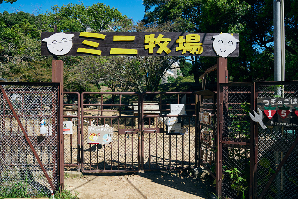 ミニ牧場/姫路市立動物園(兵庫県)