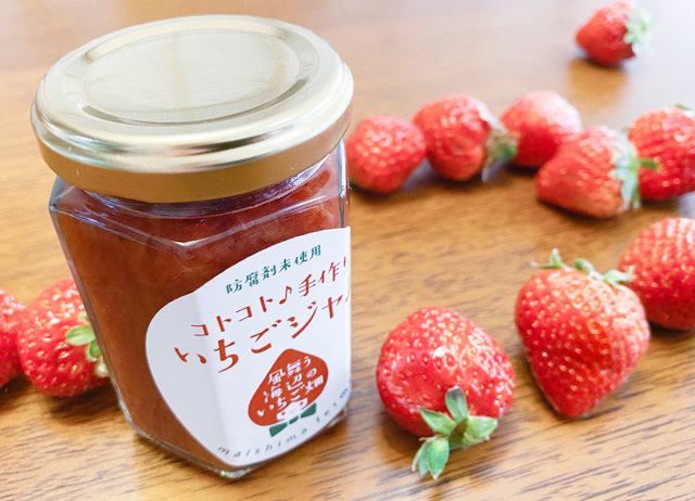 風舞う海辺のいちご畑(大阪府/大阪市)