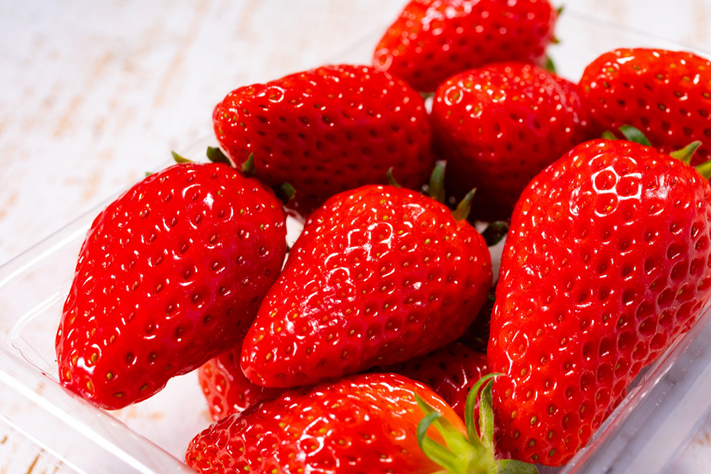 鹿深いちご園(滋賀県/甲賀市)