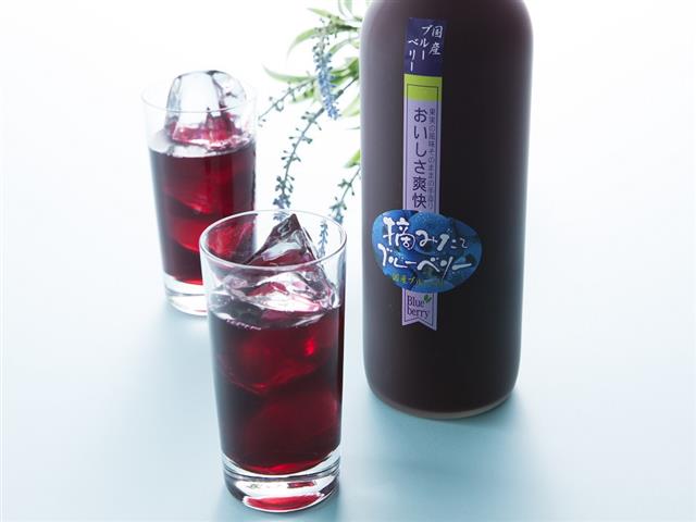 フレッシュベリーファーム アグリネット琴浦 (鳥取県/琴浦町)