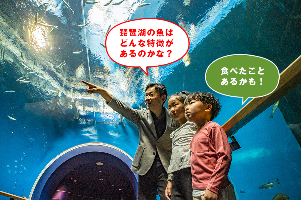 1階「水族展示室」/滋賀県立琵琶湖博物館（滋賀県/草津市）
