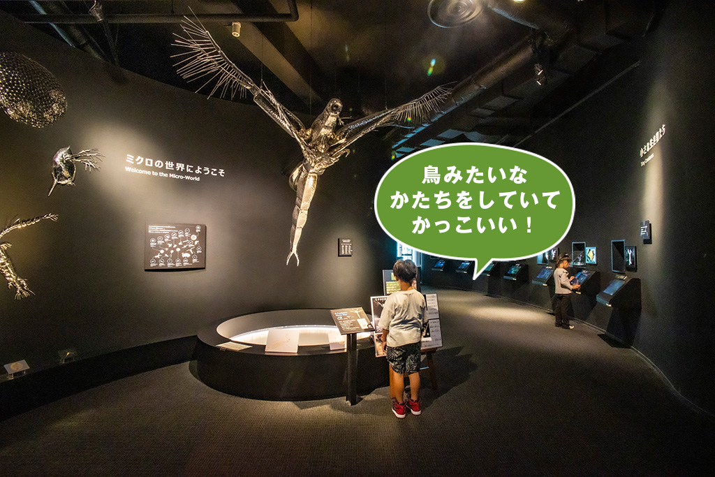 ミジンコの「ノロ」の巨大フィギュア/滋賀県立琵琶湖博物館（滋賀県/草津市）