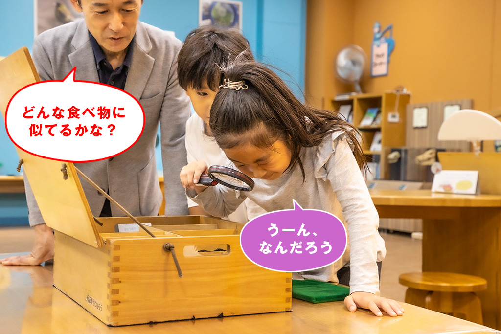 1階ディスカバリールーム/滋賀県立琵琶湖博物館（滋賀県/草津市）