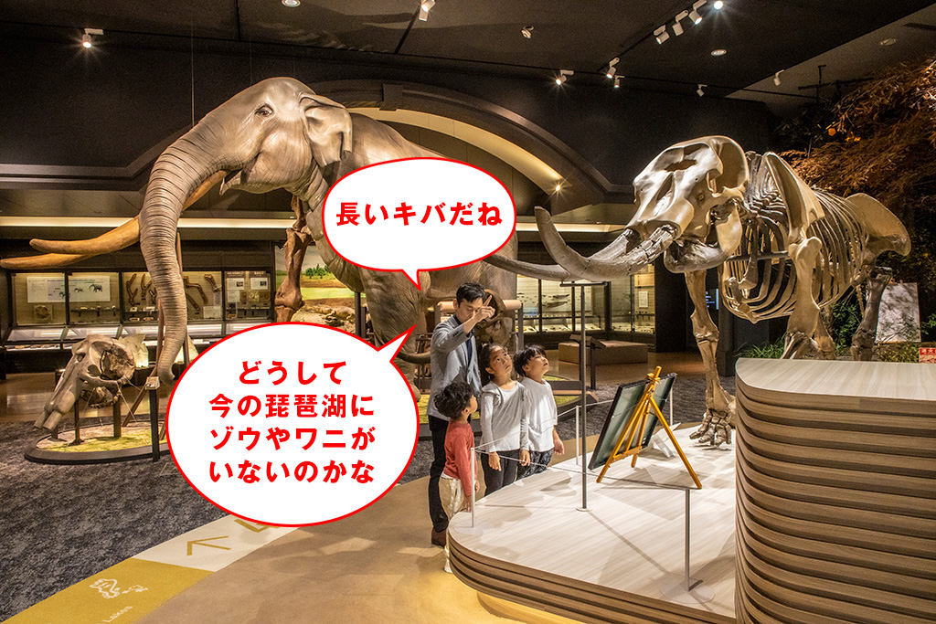 A展示室/滋賀県立琵琶湖博物館（滋賀県/草津市）