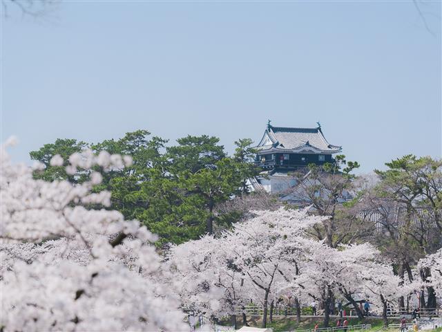 岡崎公園（愛知県／岡崎市）