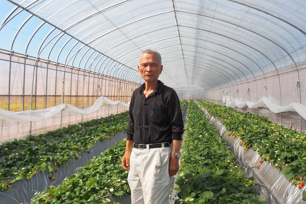 「ナルケンいちご園」を開いた成川さん/ナルケンいちご園（千葉県／大網白里市）