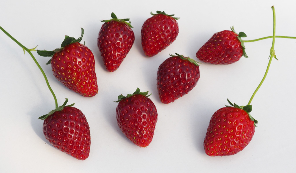 真紅の美鈴の果皮の色は濃い？/ナルケンいちご園（千葉県／大網白里市）