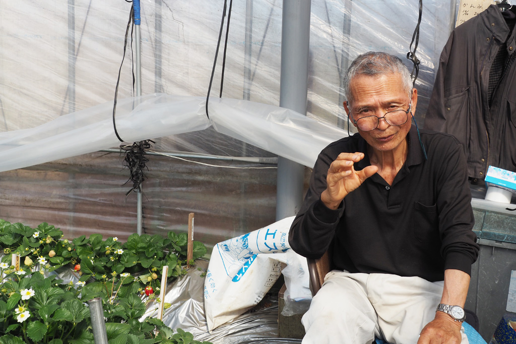 インタビューに答える成川さん/ナルケンいちご園（千葉県／大網白里市）