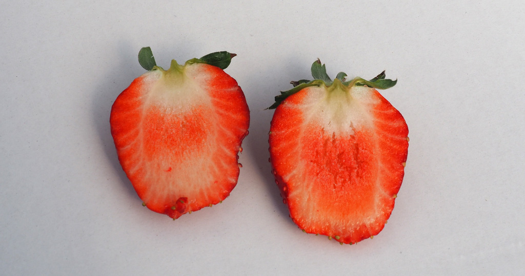 中まで赤い真紅の美鈴/ナルケンいちご園（千葉県／大網白里市）