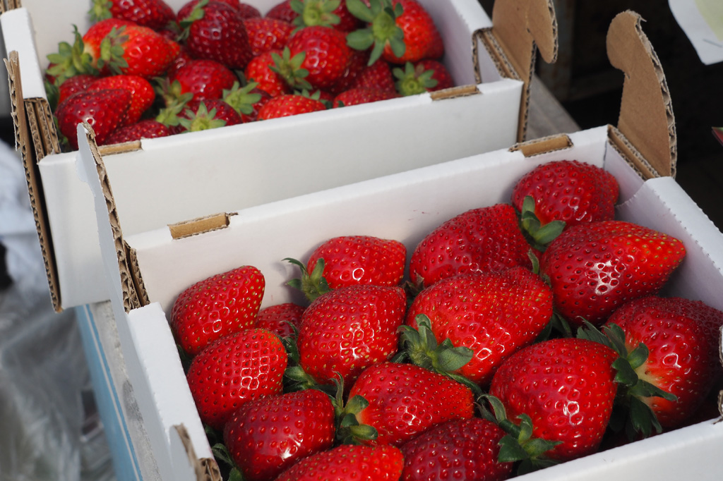 箱に入った真紅の美鈴/ナルケンいちご園（千葉県／大網白里市）