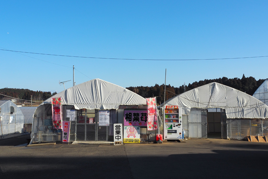 相葉苺園外観(千葉県/山武市)