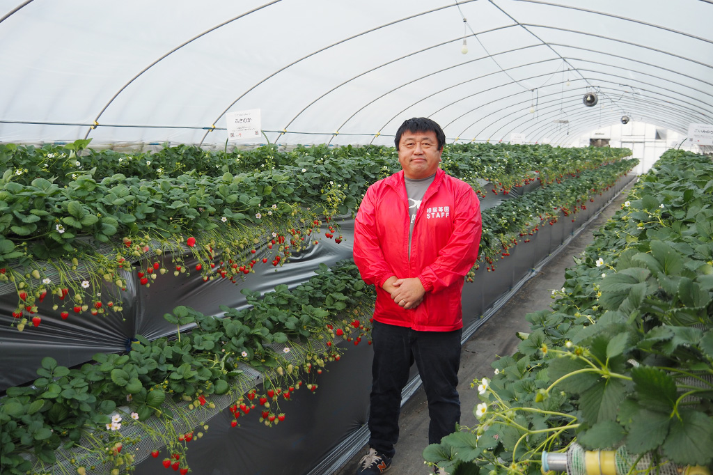 2代目の息子さん/相葉苺園(千葉県/山武市)