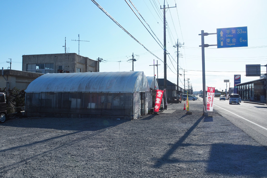 国道126号沿いの「ストロベリーロード」/相葉苺園(千葉県/山武市)