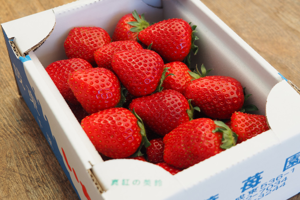 予約なしの場合は、午前中の間に収穫・選別・箱詰めされる/相葉苺園(千葉県/山武市)