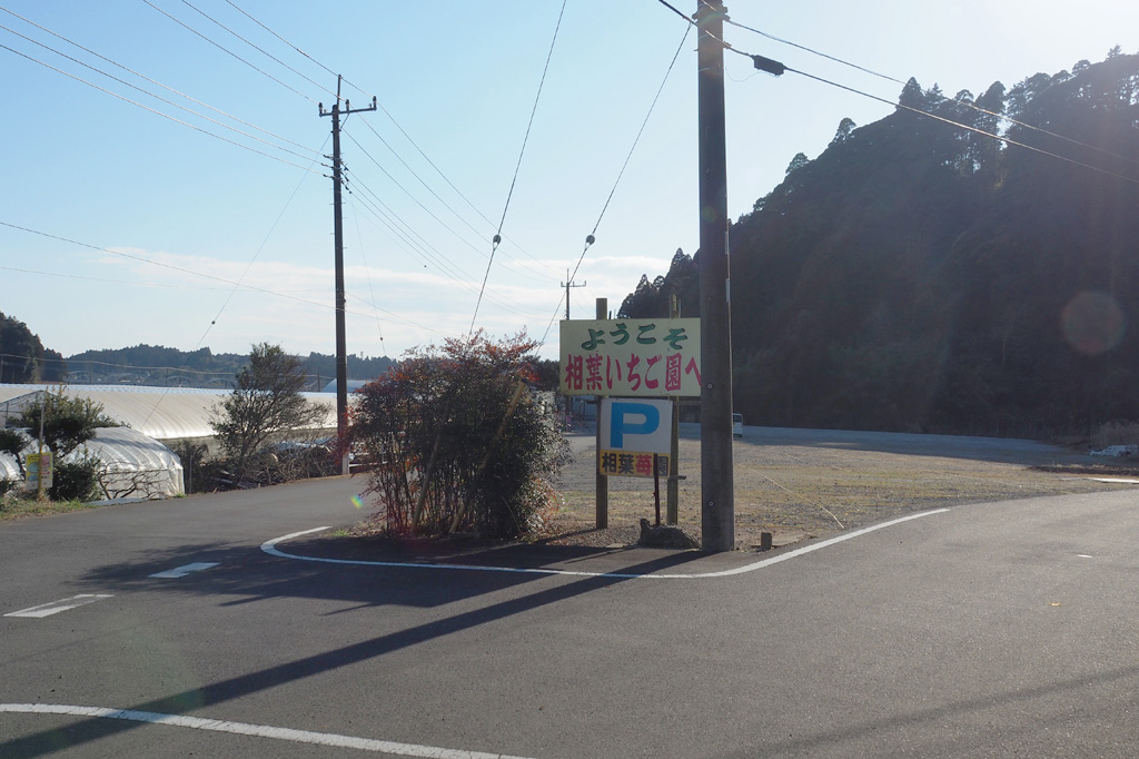 敷地内には100台分の広大な駐車場も用意されている/相葉苺園(千葉県/山武市)