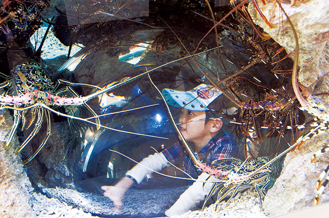 アクアマリンえっぐ/環境水族館アクアマリンふくしま(福島県/いわき市)