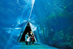 東北のおすすめ動物園・水族館・牧場21選