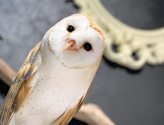 アクアテラス錦ケ丘(宮城県/仙台市)