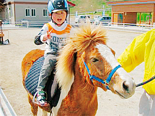 ポニー乗馬/モ〜ランド・本吉(宮城県/気仙沼市)