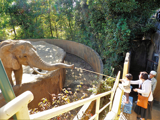 エサやり体験/八木山動物公園フジサキの杜(宮城県/仙台市)