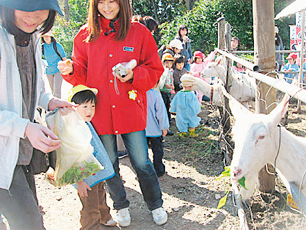 蔵王マウンテンファーム山川牧場(山形県/上山市)