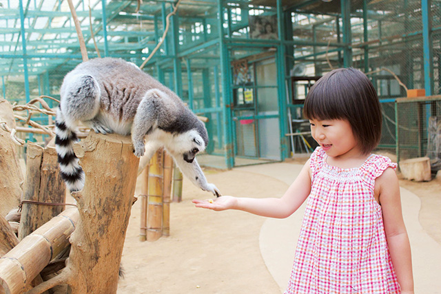 サルのふれあい楽園/東北サファリパーク(福島県/二本松市)