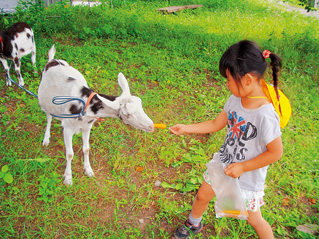 エサやり体験/岩瀬牧場(福島県/鏡石町)