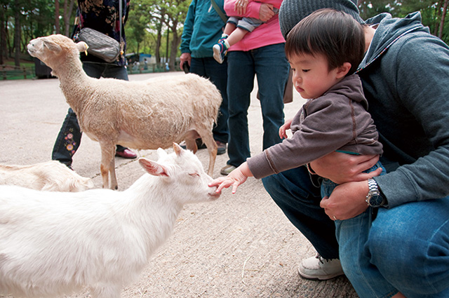 ふれあい広場でほっこり♪/磐梯高原南ヶ丘牧場(福島県/猪苗代町)